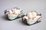 mushrooms packaging - cardboard tray