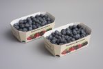 berries cardboard tray