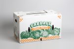cabbage packaging - folding box