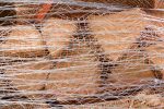 pallet netting