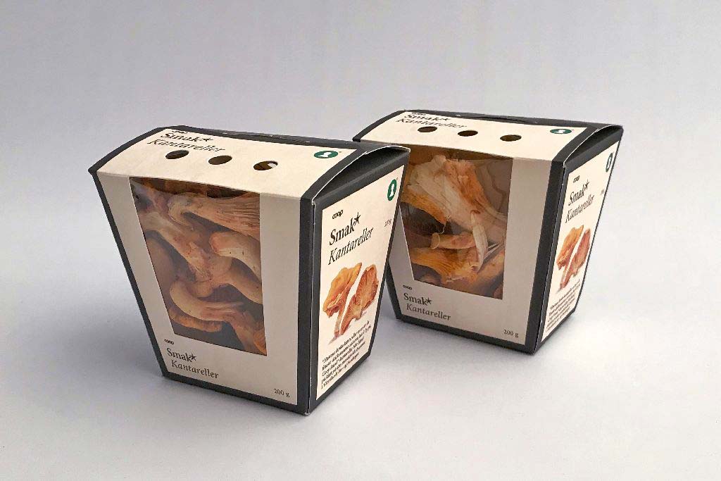 Folding boxes | NNZ United States