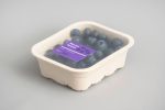 Berries 11301 Pulp Tray Topseal NNZ Benelux