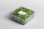 lettuce packaging - plastic tray