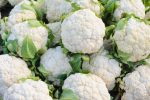 Cauliflower packaging