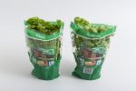 Herbs packaging