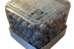Club Store Blueberries Removebg Preview
